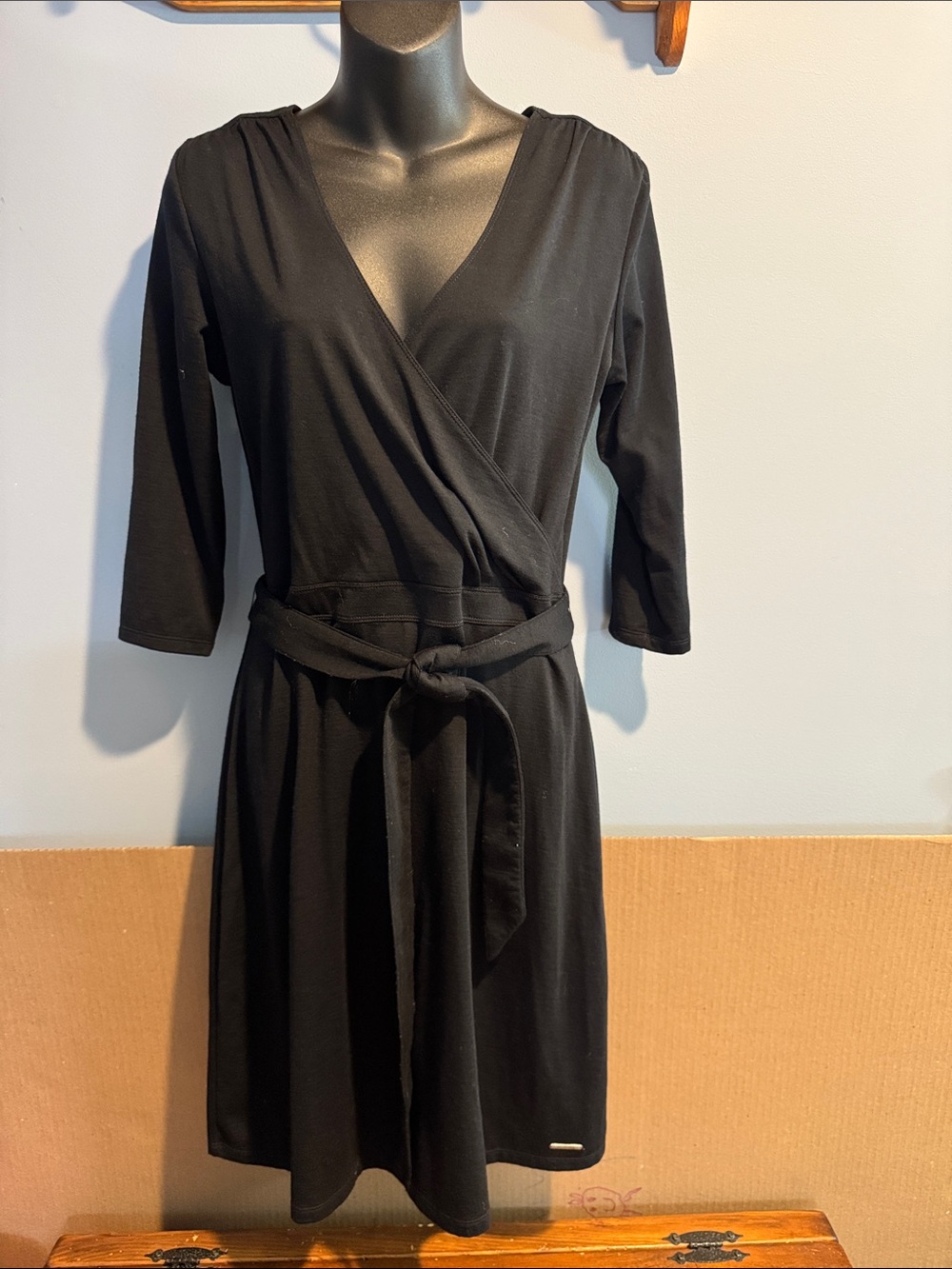 Smartwool Dress